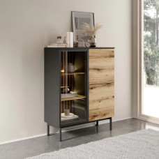 Вітрина низька у вітальню Perfect Home Lang 3D1W/100 125,4х100,1х39,4 Чорний/Дуб евок (PFH-091141)