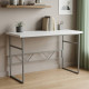 Письменный стол Ferrum-decor Раян 76x100x70 серый ДСП Белое 32мм (FRD-101626) - фото 1